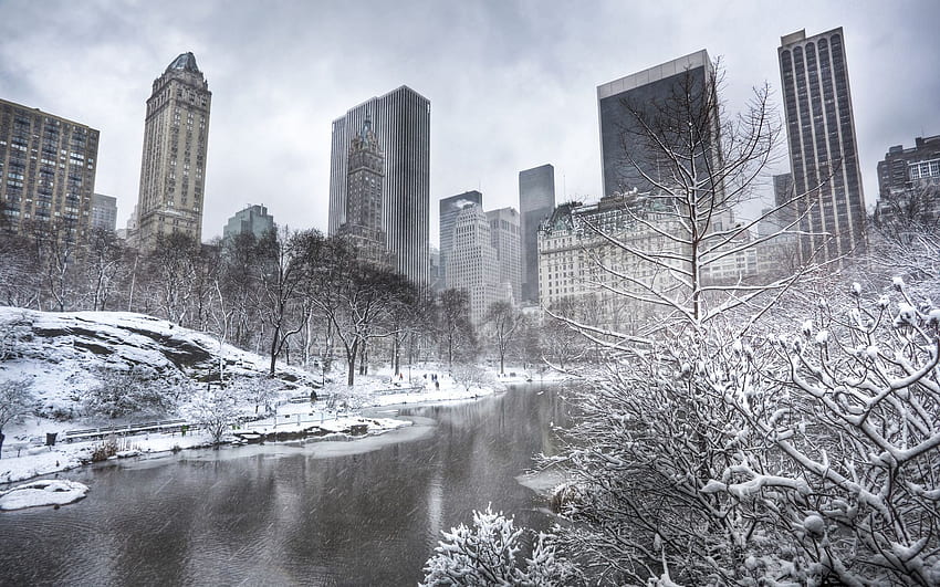 Central Park Manhattan Nueva York Invierno fondo de pantalla