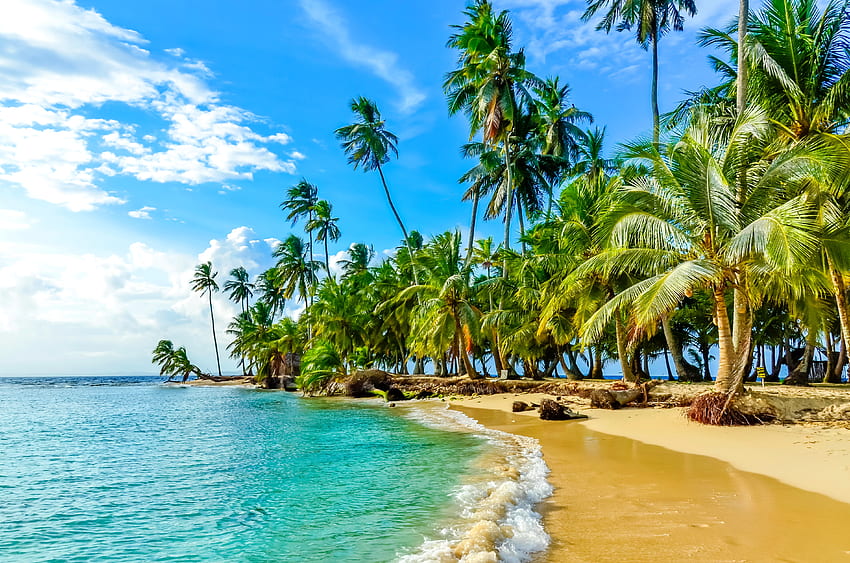 Spiaggia caraibica, isola, palme, mare, tropici, paradiso, bella, spiaggia, estate, sabbie, cielo, Caraibi, oceano Sfondo HD