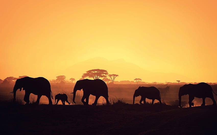 africa. I Like To Waste My Time, African Continent HD wallpaper