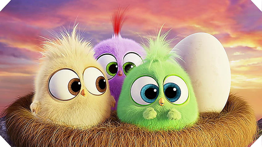 Cute Angry Bird - Novocom.top, Cartoon Birds papel de parede HD
