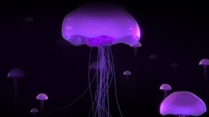Purple Moon Jellyfish Ultra - - .net, Pink and Purple Moon HD wallpaper