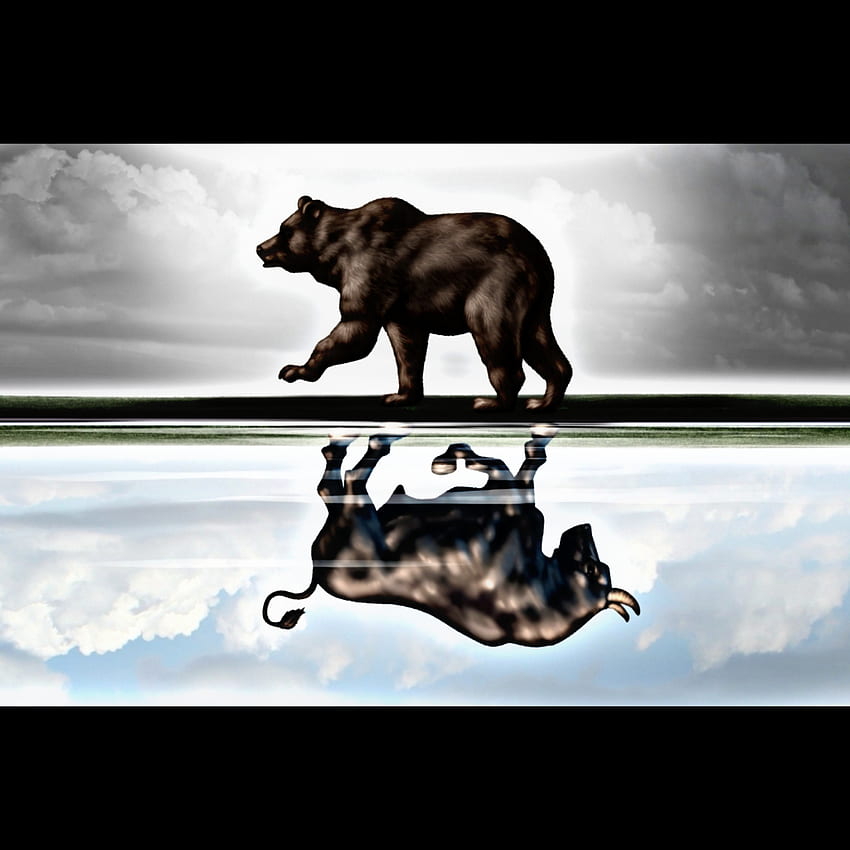 Fighting buffalo bear stock trading design elements flat handdrawn dynamic  sketch, png | PNGWing