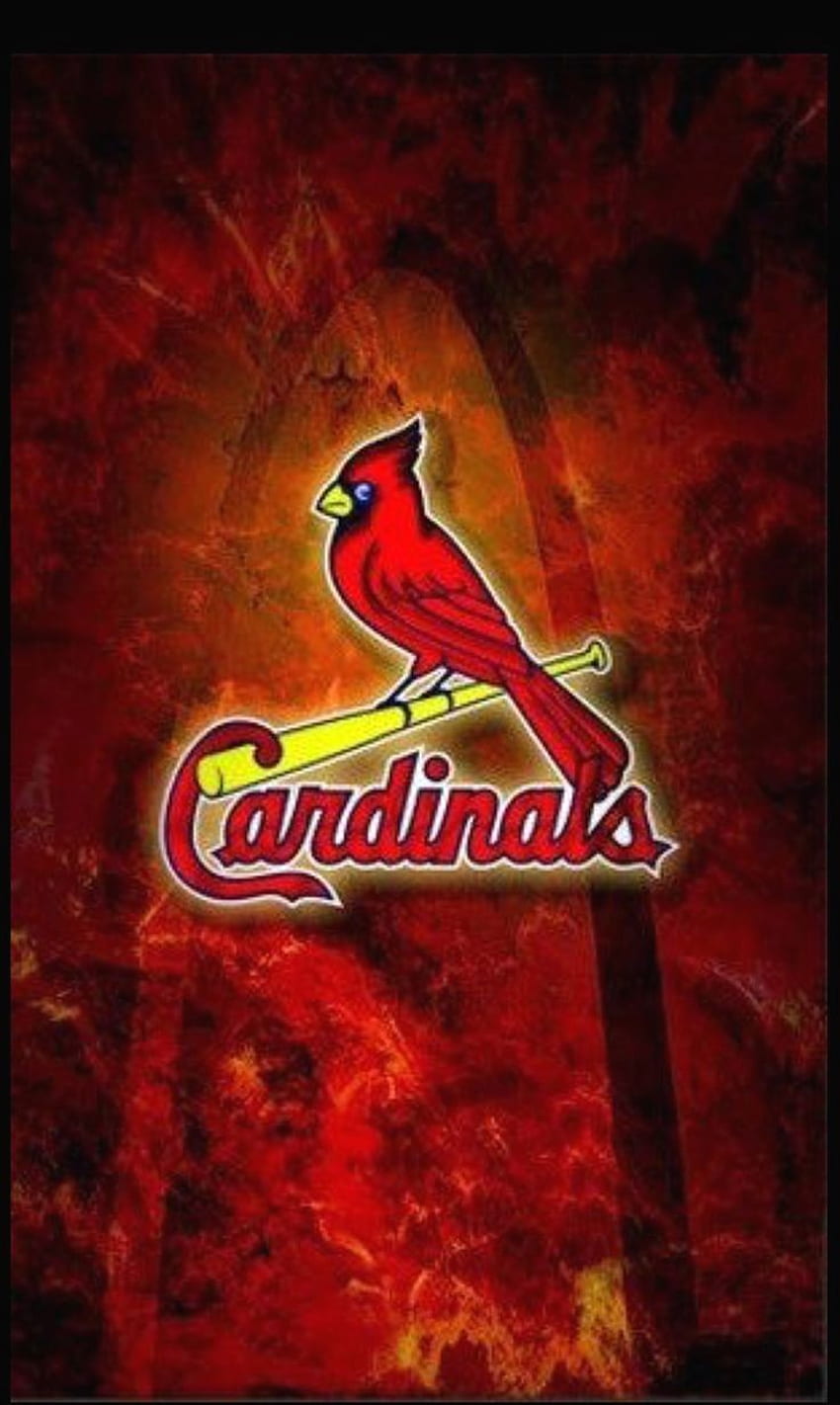 StLouis Cardinals baseball mlb HD phone wallpaper  Peakpx