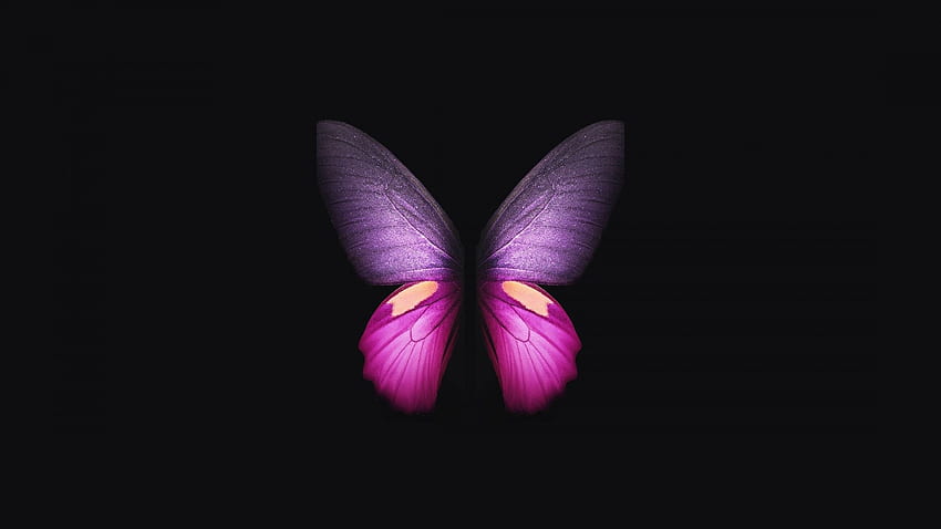 Samsung Galaxy Fold Pink Purple Butterfly Dark Butterfly Hd