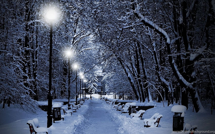 Montreal Christmas Winter Snow City G_JPG HD wallpaper