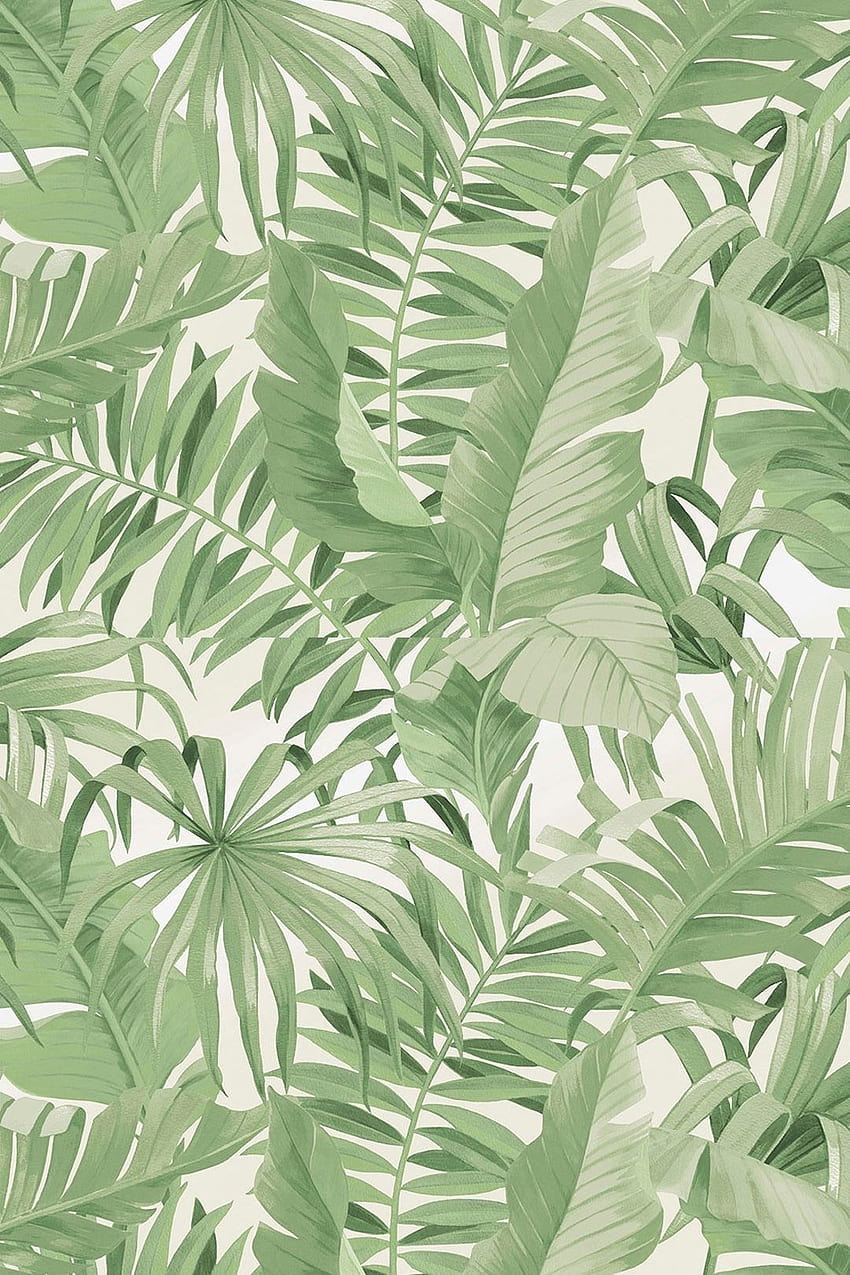 Palma Tropical Green. Тропически, ментово зелен iphone, растение, пастелни листа HD тапет за телефон