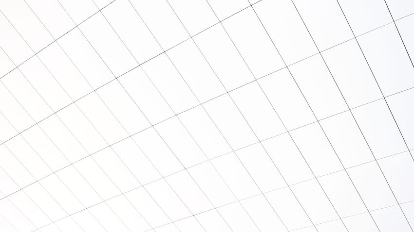Graphic white grid for graphic HD wallpaper