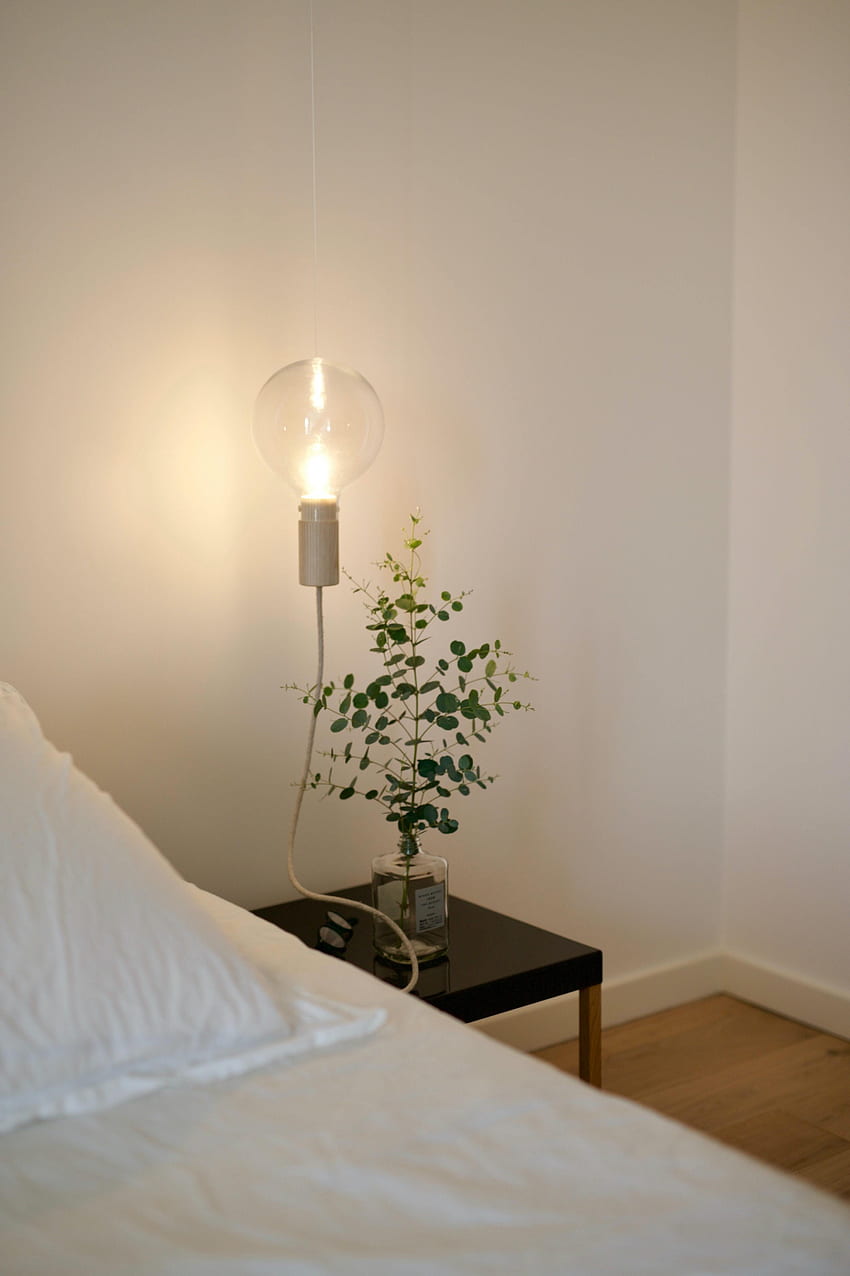Interior, , , Branch, Lamp, Room, Light Bulb HD phone wallpaper