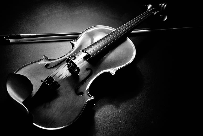 Violin, Black Violin HD wallpaper | Pxfuel