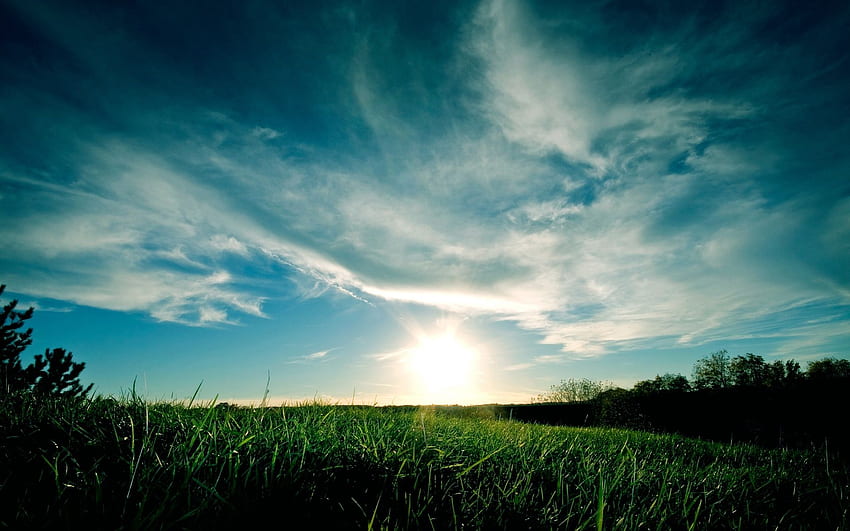 Sky, blue, grass, green HD wallpaper | Pxfuel