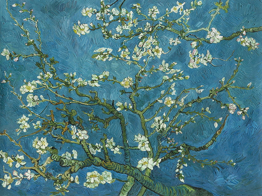 Van Gogh - Amendoeira em Flor - tapeten & Tapeten - parede, Ramos de Amendoeira Van Gogh papel de parede HD