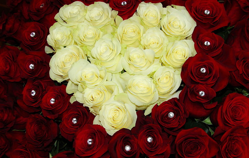 flowers, heart, roses, bouquet, colorful, red, rose, white, heart, beautiful, bouquet for , section цветы, Red Rose Bouquet HD wallpaper