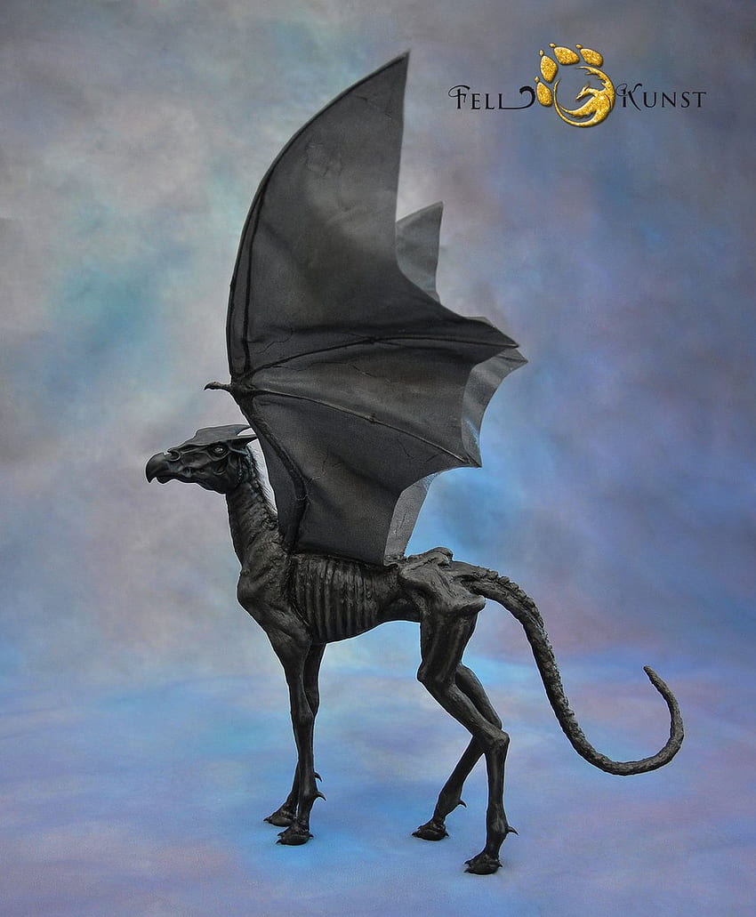 Studio FellKunst - finished. I think I will keep him. may I?. Just kidding, Thestral HD phone wallpaper