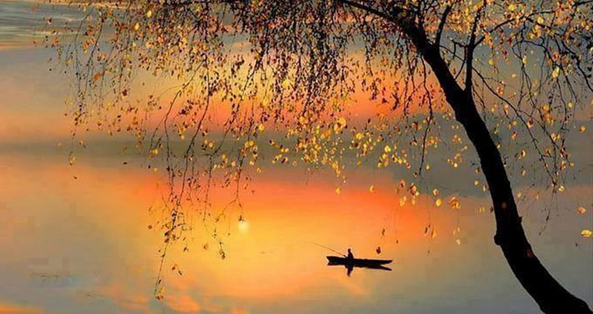 A fisherman fishing on a boat, Lake, Golden nature, Beauty, Tree HD wallpaper