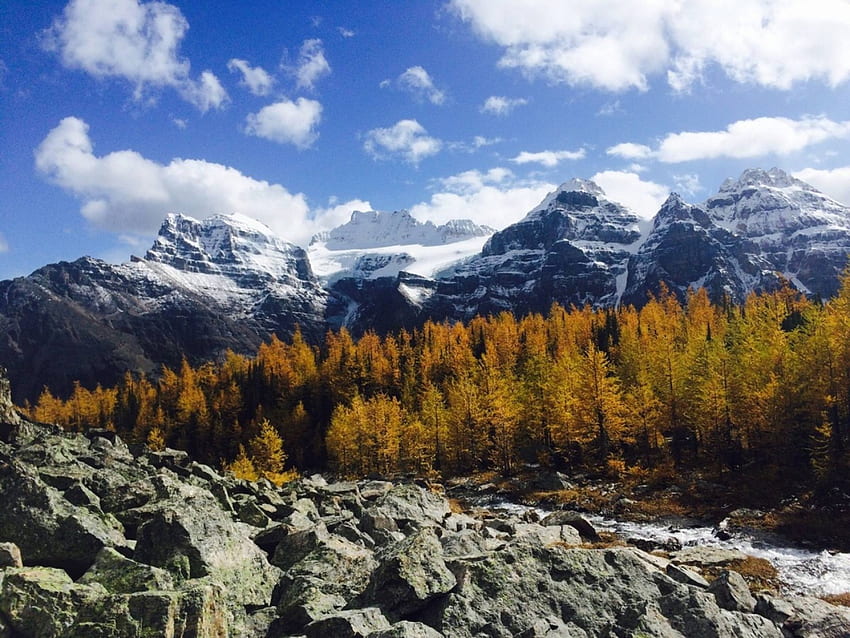 Taman nasional Banff, menyenangkan, sejuk, alam, hutan, gunung Wallpaper HD