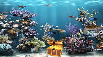 Fish Tank Background Animated, Cartoon Aquarium HD wallpaper