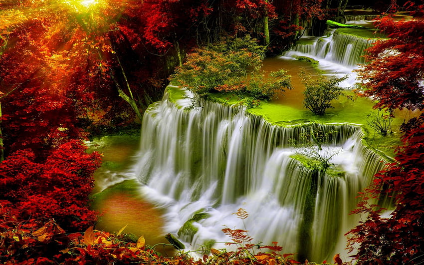 Autumn Cascade, falls, leaves, red, trees, waterfall, autumn, nature HD wallpaper