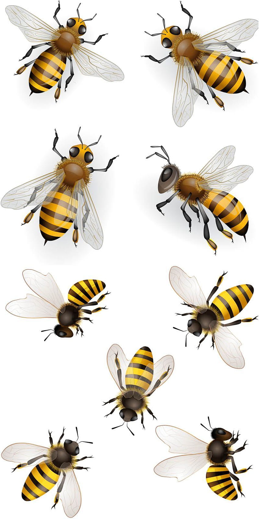 Honey Bees | Beehive drawing, Bee drawing, Bee hive-saigonsouth.com.vn