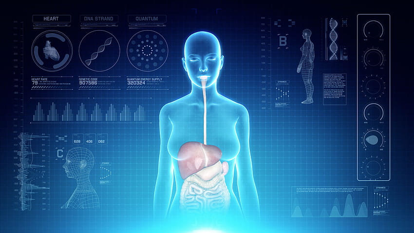 Футуристичен интерфейсен дисплей на сканиране на женско тяло с ХОДЯЩА анатомия на човешката храносмилателна система на холографски сензорен екран на син фон Ултра висока разделителна способност за медицинско приложение HD тапет