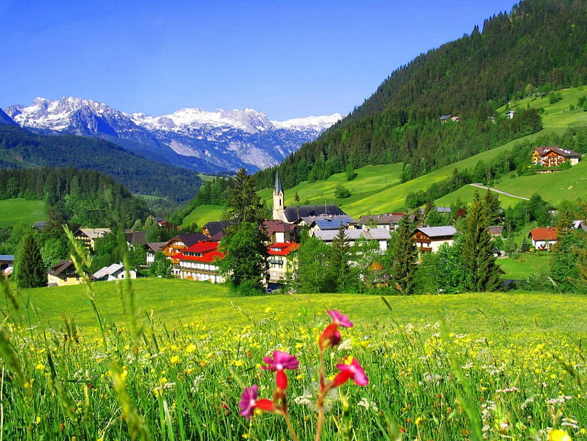 Планинско село, спокойно, къщи, диви цветя, дървета, зеленина, хълмове, красиво, трева, планина, лято, красива, долина, природа, небе, цветя, прекрасно, село, провинция HD тапет