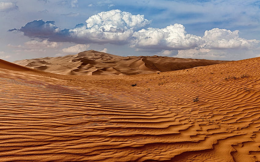 desert Dune HD Wallpapers  Desktop and Mobile Images  Photos