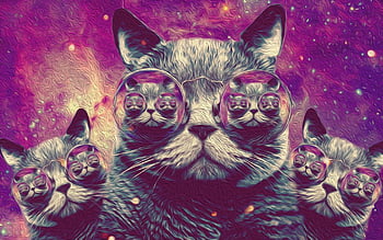 trippy cat cover photos for facebook