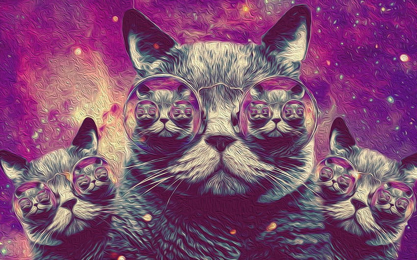 Trippy Cat , Trippy Cat, Tumblr Cute Cat HD wallpaper