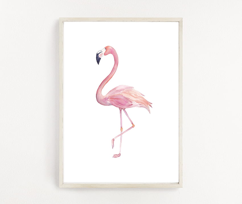 Акварелен фламинго печат Розово фламинго Арт фламинго декор HD тапет