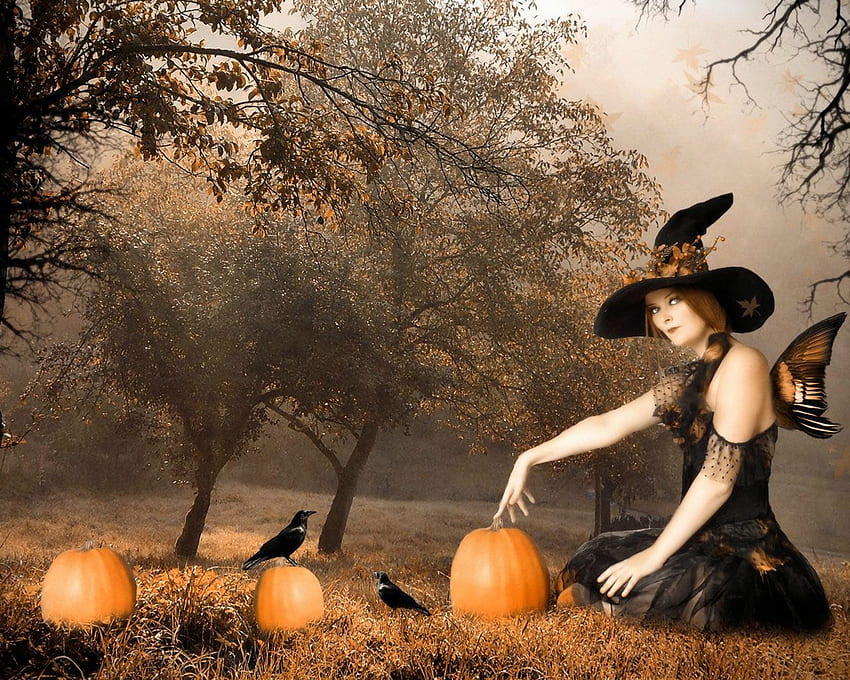 S > Fantasy > All Hallows Eve Witch, Halloween Fairy Witch HD wallpaper
