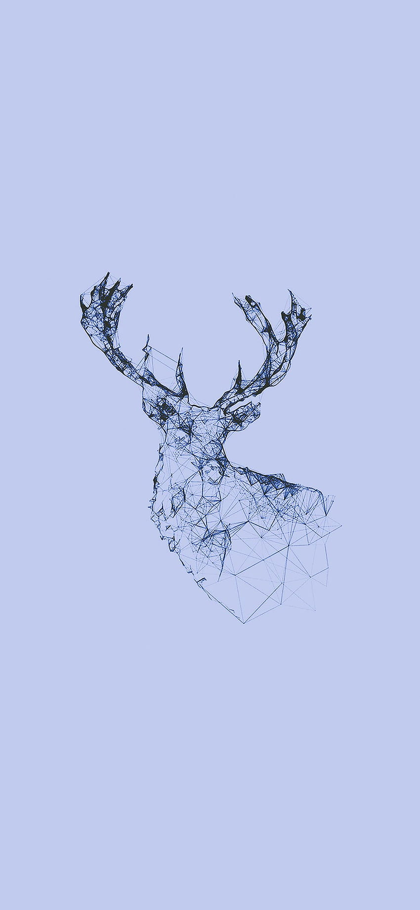 deer iphone, reindeer, elk, head, deer, drawing , antler, wildlife, illustration, horn, sketch HD phone wallpaper