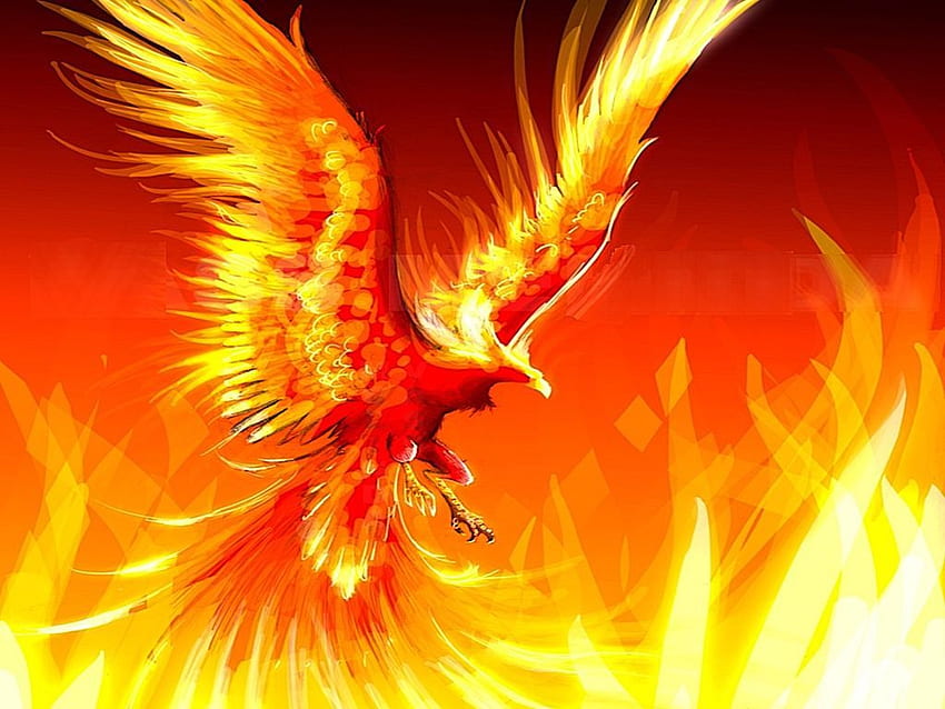 Eagle Fire Images  Browse 43 Stock Photos Vectors and Video  Adobe  Stock