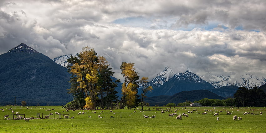 Natura, Niebo, Góry, Chmury, Alpy, Dolina, Owce, Pastwiska, Owce, Stopa Tapeta HD