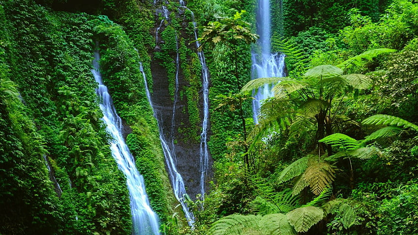 Cascade de Madakaripura - Parc national de Bromo Tengger Semeru, Indonésie Fond d'écran HD