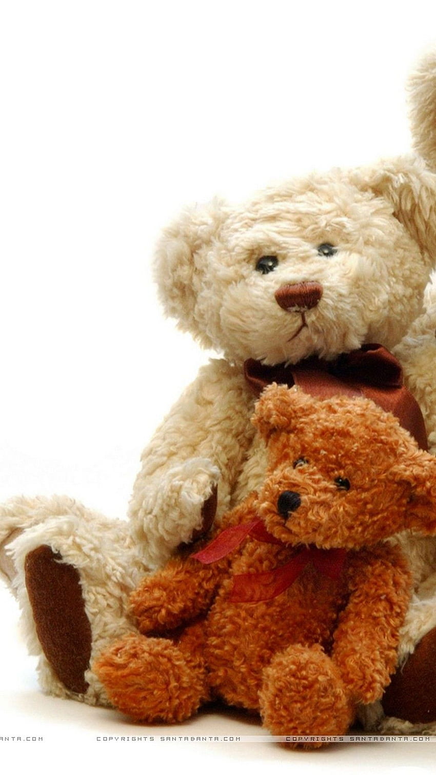 Teddy Bear, Big Teddy Bears HD phone wallpaper | Pxfuel