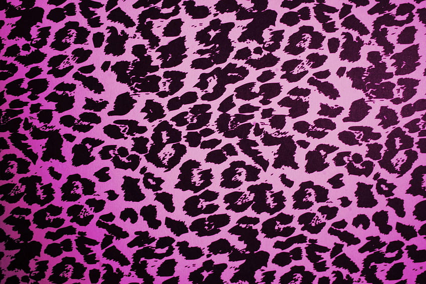 Purple Leopard Data Src Img 115616 Texturas Animal Print Tapeta HD