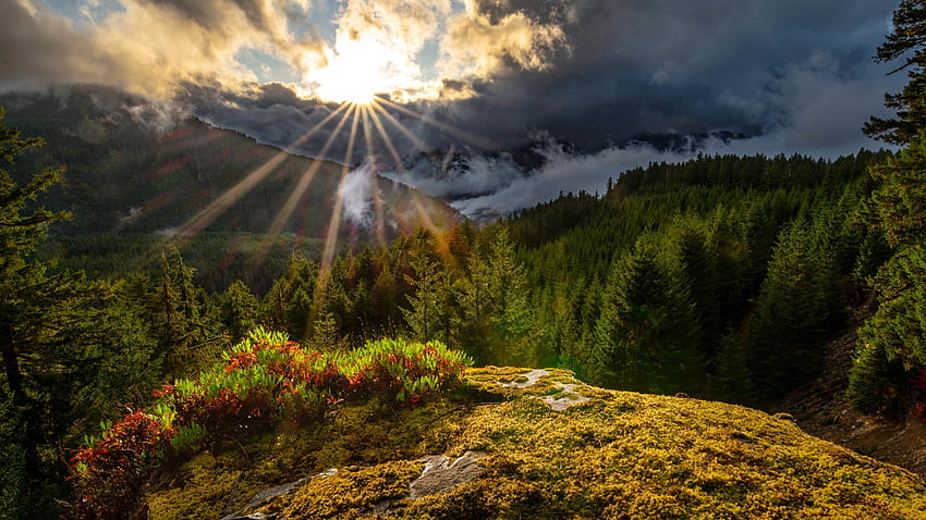Cascade Range Ormanı ve Kara Bulutlu Gökyüzü Altında Güneş Işını Olan Dağların Manzarası Doğa, Kara Bulut Ormanı HD duvar kağıdı