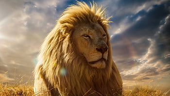 aslan the great - Aslan Wallpaper (20650188) - Fanpop