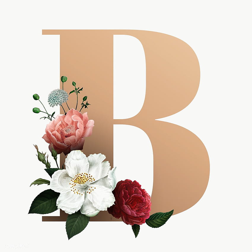 Класически и елегантен флорален азбучен шрифт буква B прозрачен png. / човек. Фон с цветя, азбука на шрифтове, шрифтове с надписи, сладка буква B HD тапет за телефон