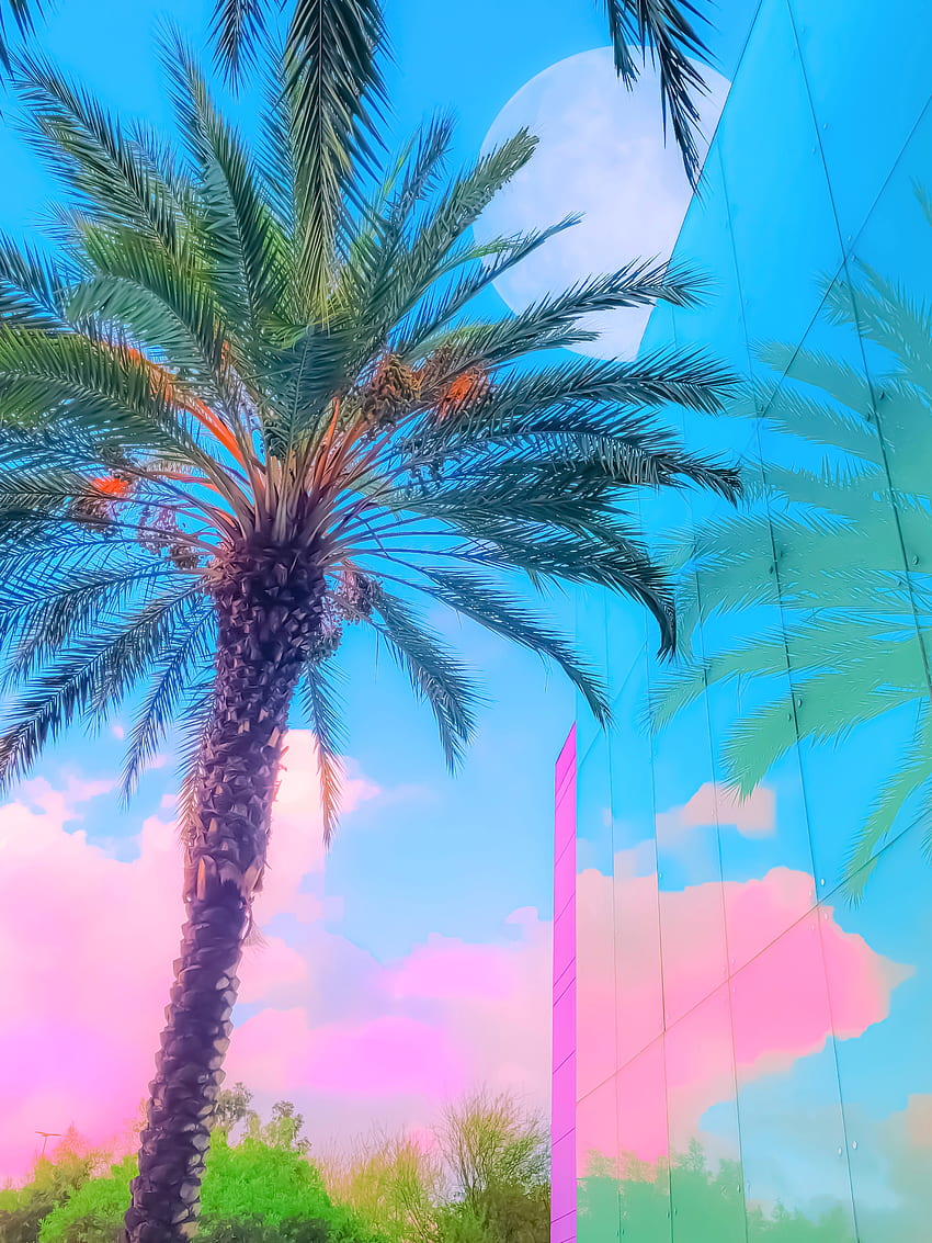 Imaginary Canvas, estetyczne, niebo, surrealistyczne, księżyc, palmy, lofi, chmury, marzycielski, vaporwave, pink_clouds Tapeta na telefon HD