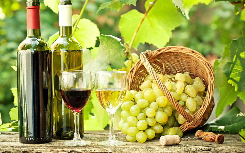 Wine Grapes, Grape Vine HD wallpaper