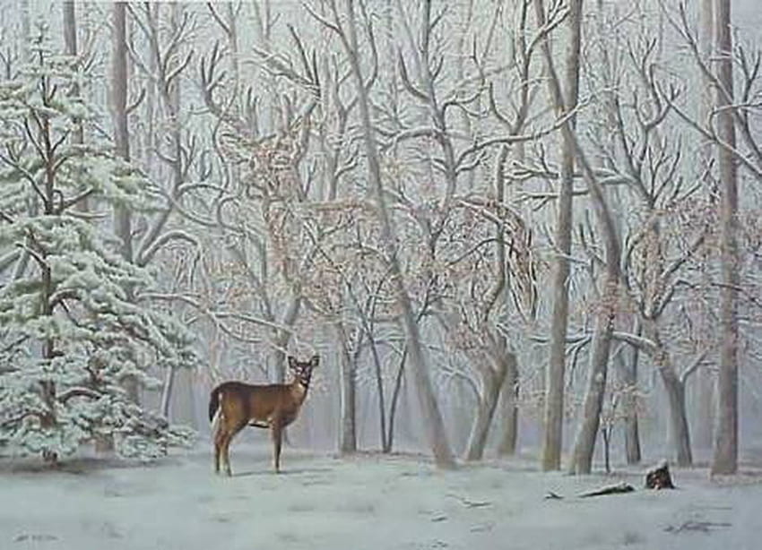 SEE MORE THAN ONE DEER, two, trees, deers, snow HD wallpaper