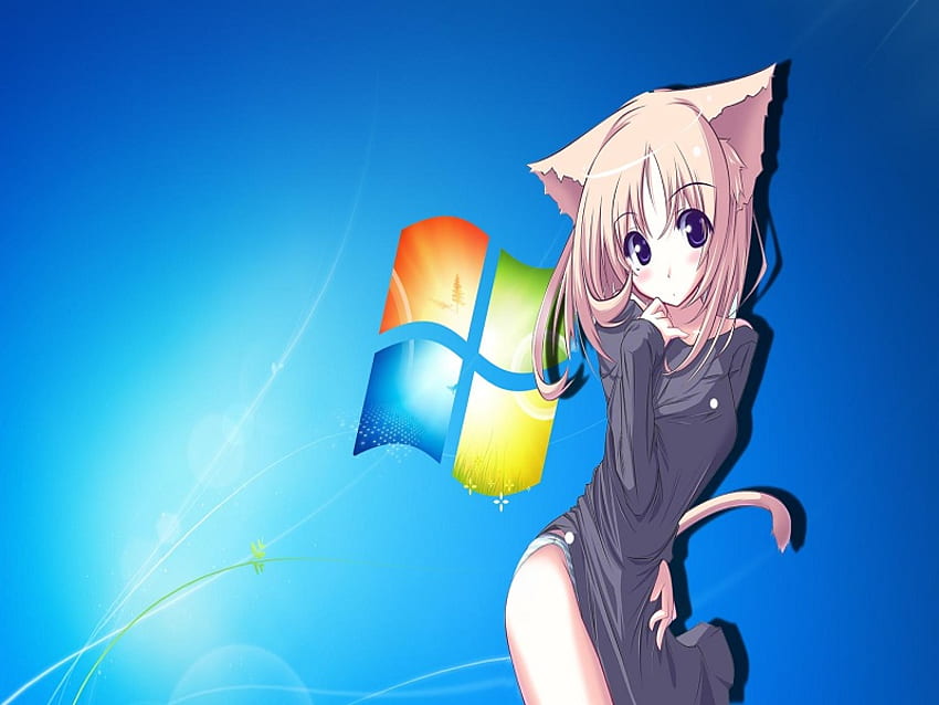 windows cat, windows, cat girl, girl, tail, anime, ears, computer, women, female HD wallpaper