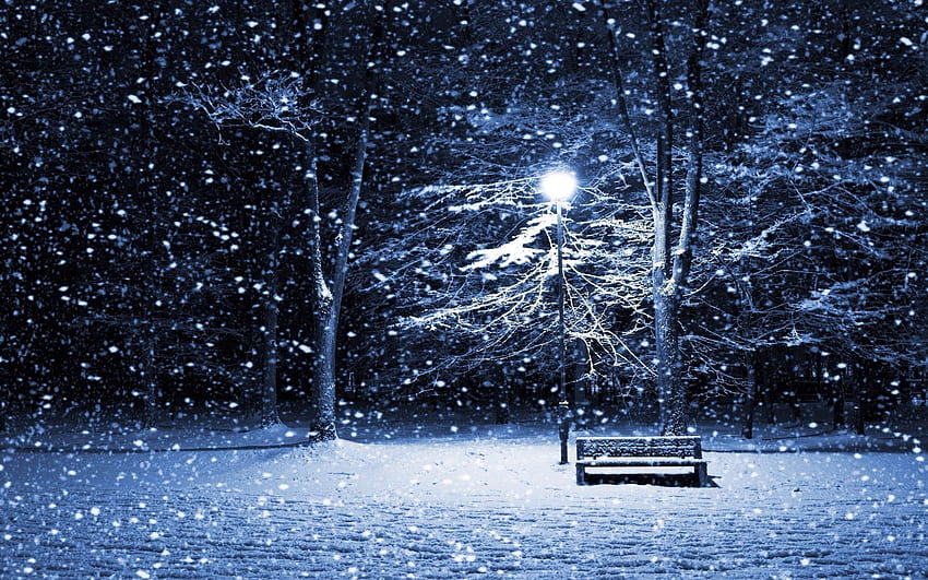 Snowy night. Winter , Winter , Scene HD wallpaper