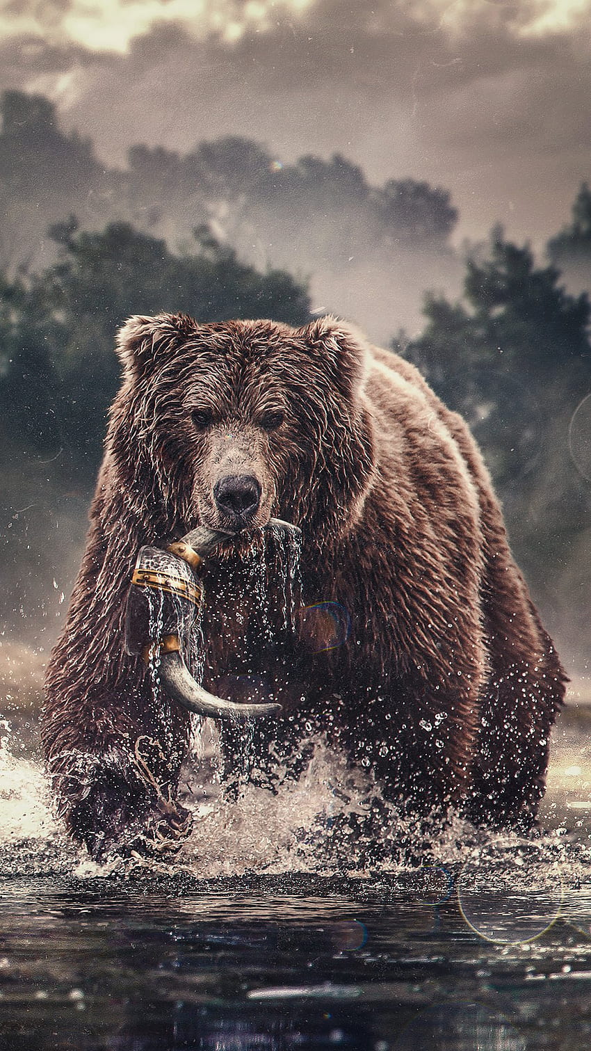 Chicago Bears - Catch the . / Twitter, Brown Bear HD phone wallpaper