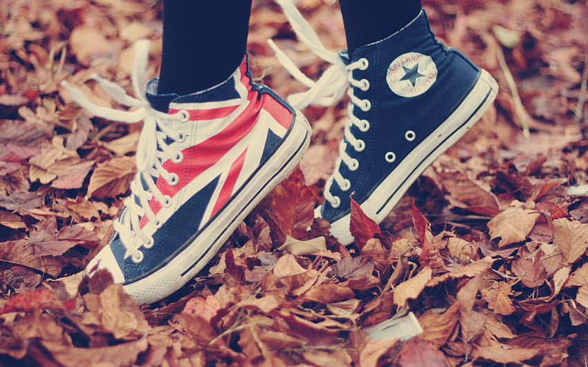 Blue And Red Converse All Star High Top Sneakers , Fall • For You For & Mobile HD wallpaper