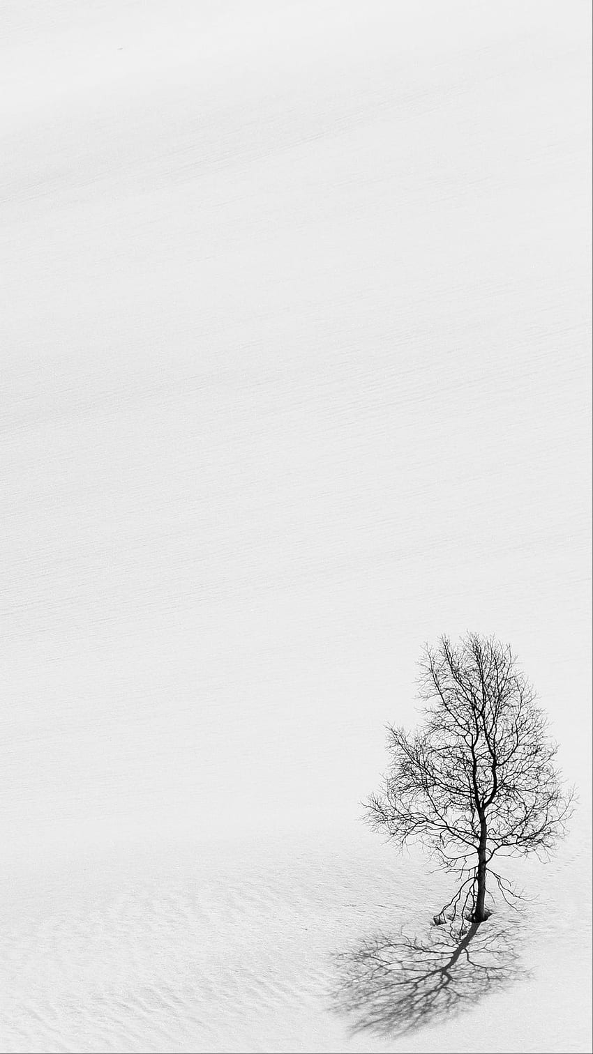drzewo, śnieg, minimalizm, bw, minimalistyczna zima Tapeta na telefon HD