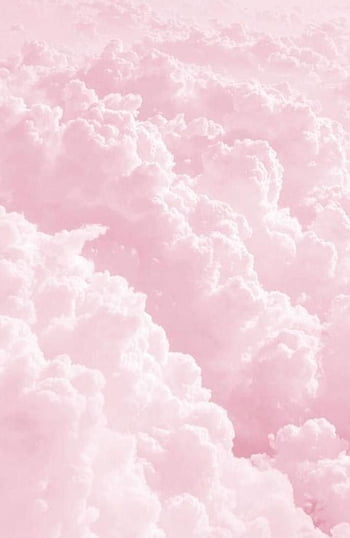 Với những hình nền màu hồng nhạt thẩm mỹ mềm HD đầy quyến rũ, bạn sẽ dễ dàng đắm mình trong không gian lãng mạn và nữ tính. Hãy cùng khám phá và đắm chìm trong những bức ảnh đẹp nhất!