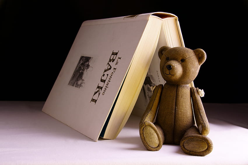 Bear, Toy, Book HD wallpaper