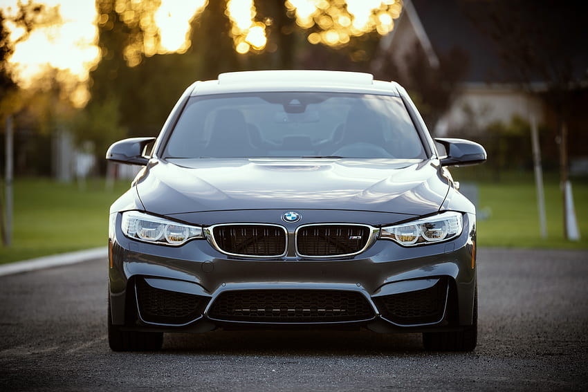 Auto, Bmw, Cars, Front View HD wallpaper