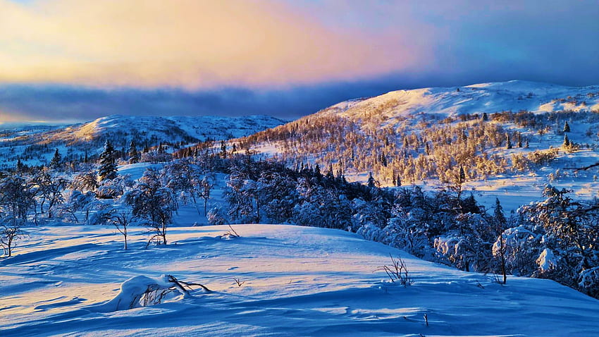 Storfjallet, Jaemtsland Iaen, Sweden, winter, hills, snow, colors, landscape, trees, sky, sunrise, scandinavia HD wallpaper